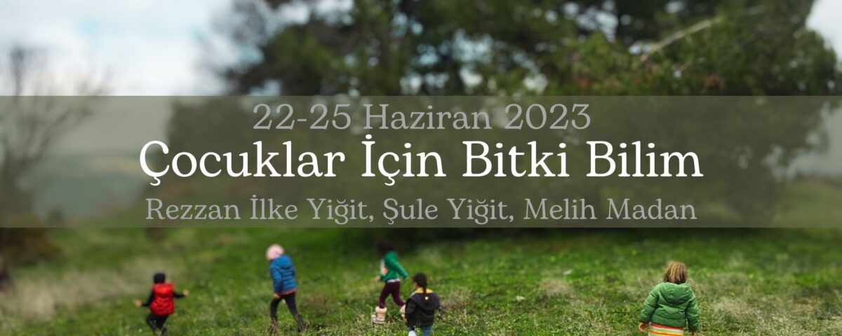22-25 haziran '23 stoa Botanik Kampı ilke yiğit şule yiğit melih madan (1)